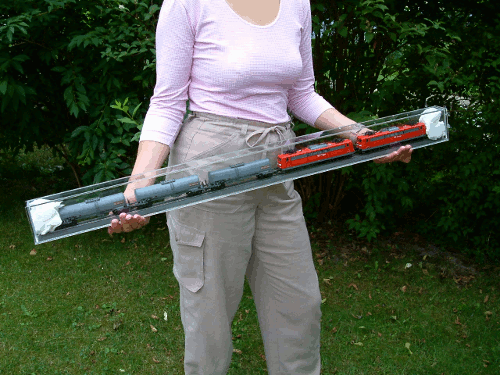 transport trains with the tubes